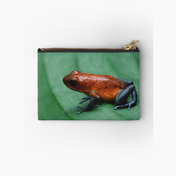 Item preview, Poison dart frog designed and sold by johnnycuervo.
