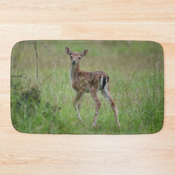 Item preview, Fallow Fawn designed and sold by ClaireChown.