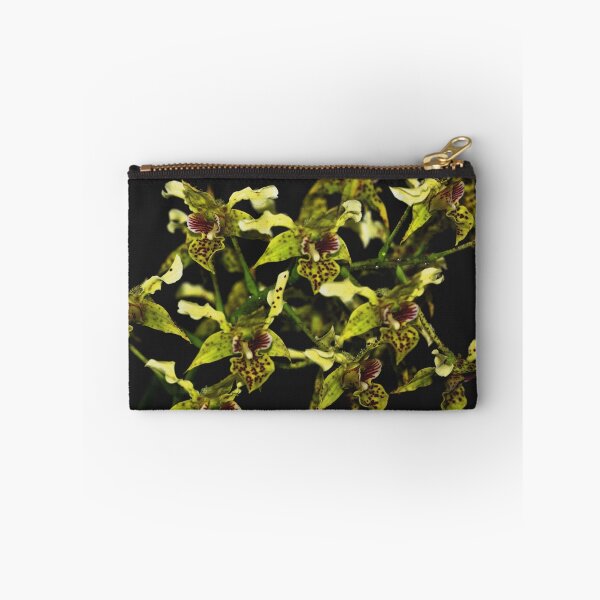 Item preview, Dendrobium Latouria hybrid designed and sold by andrachne.