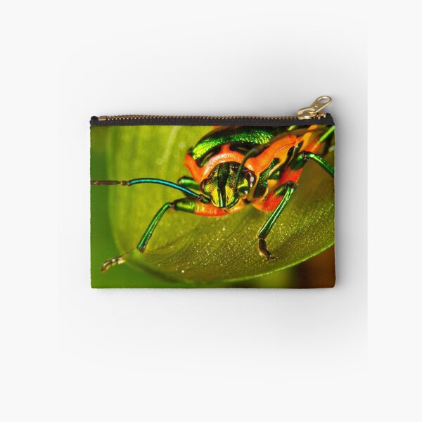Item preview, Metallic Shield Bug (Scutiphora pedicellata) designed and sold by Kerrod Sulter.