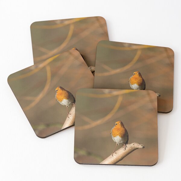 Item preview, Robin! designed and sold by LaurenTucker.