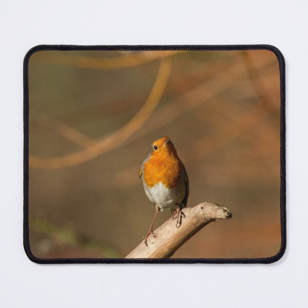 Item preview, Robin! designed and sold by LaurenTucker.