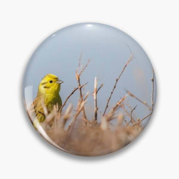 Item preview, A Stunning Yellowhammer! designed and sold by LaurenTucker.