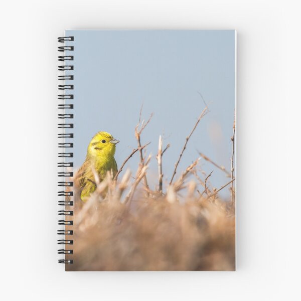 Item preview, A Stunning Yellowhammer! designed and sold by LaurenTucker.