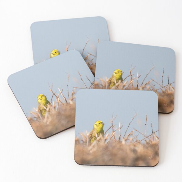 Item preview, A Stunning Yellowhammer! designed and sold by LaurenTucker.