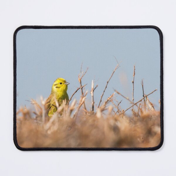 Item preview, A Stunning Yellowhammer! designed and sold by LaurenTucker.
