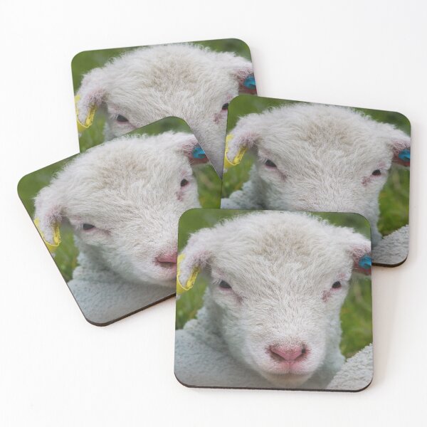 Item preview, Innocent! designed and sold by LaurenTucker.