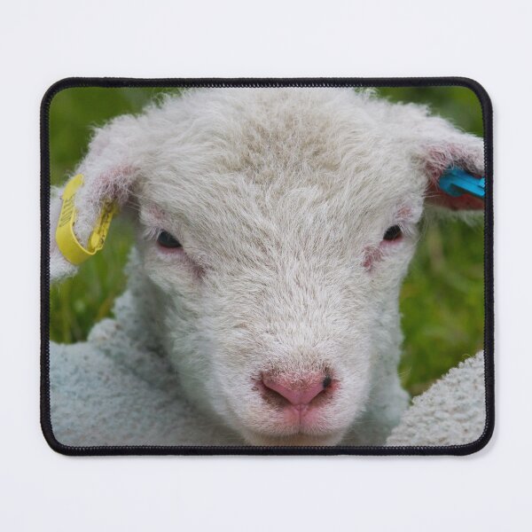 Item preview, Innocent! designed and sold by LaurenTucker.