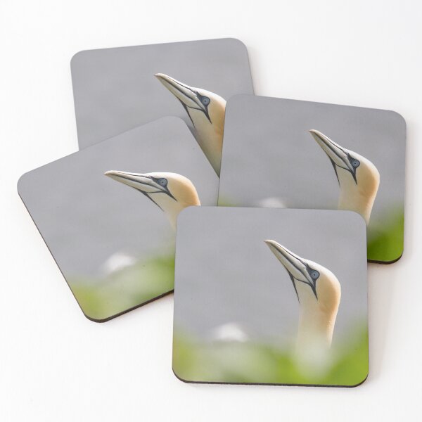 Item preview, Gannet Pose.. designed and sold by LaurenTucker.