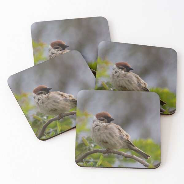Item preview, Tree Sparrow Doing His Flamingo Impression! designed and sold by LaurenTucker.