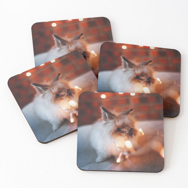 Item preview, rabbit photo with high resolution quality designed and sold by Allyouneed-2.