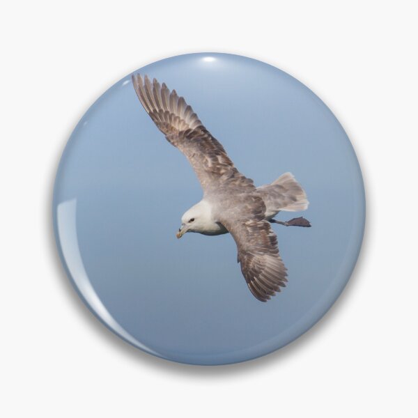 Item preview, Fulmar Glide! designed and sold by LaurenTucker.