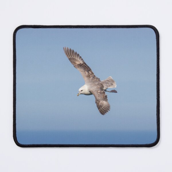 Item preview, Fulmar Glide! designed and sold by LaurenTucker.