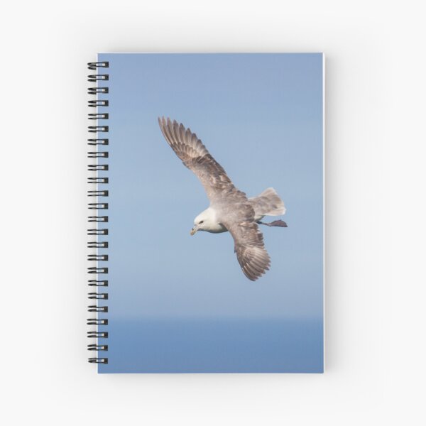 Item preview, Fulmar Glide! designed and sold by LaurenTucker.