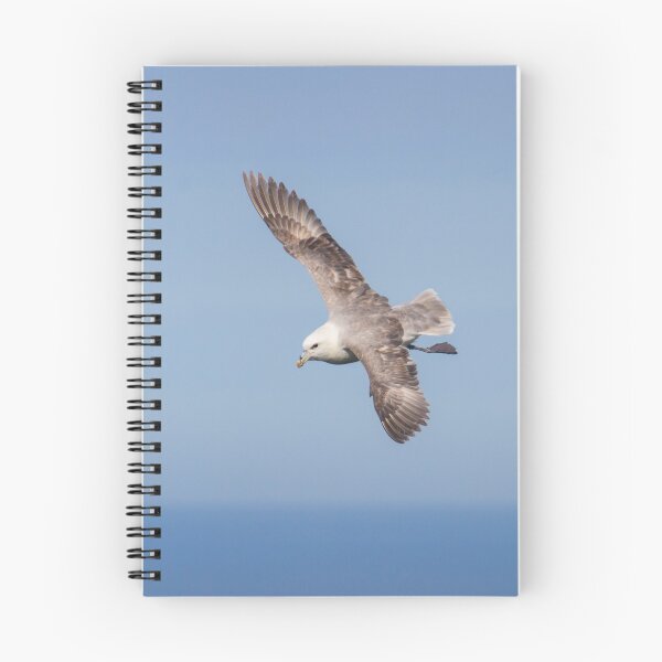 Item preview, Fulmar Glide! designed and sold by LaurenTucker.