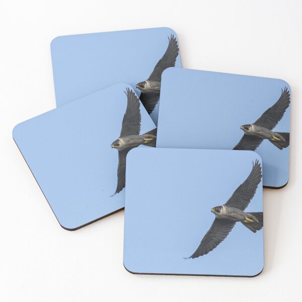 Item preview, Peregrine Falcon! designed and sold by LaurenTucker.