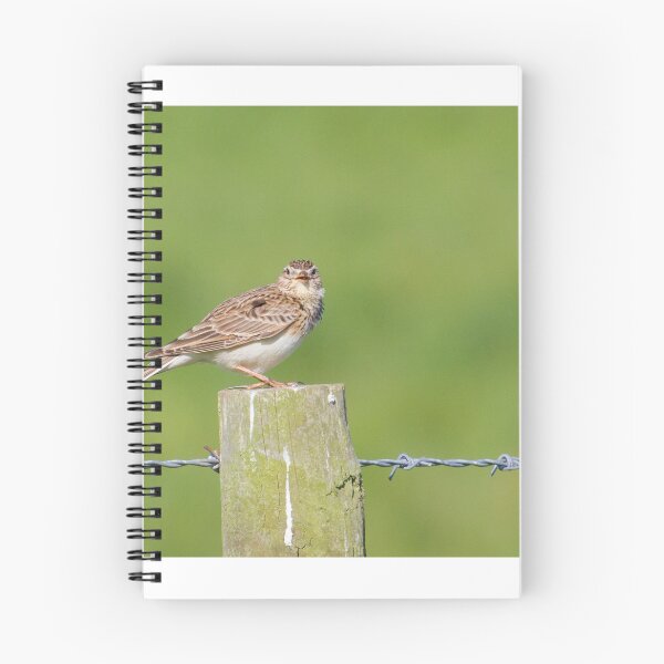 Item preview, Skylark Sing! designed and sold by LaurenTucker.