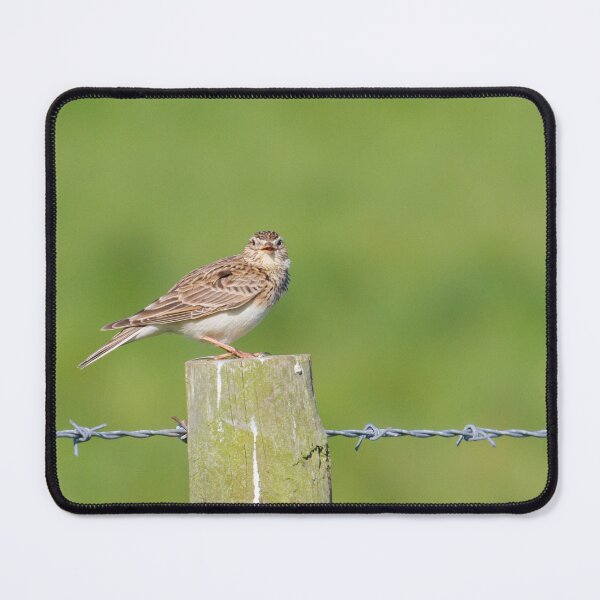 Item preview, Skylark Sing! designed and sold by LaurenTucker.