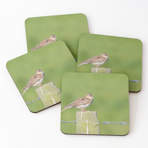 Item preview, Skylark Sing! designed and sold by LaurenTucker.