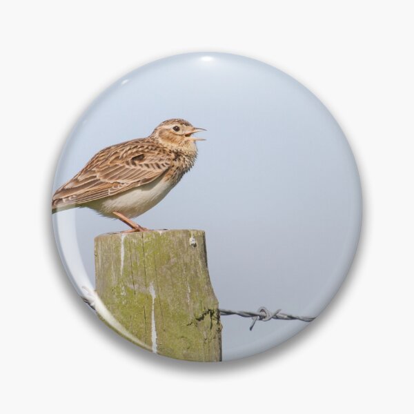 Item preview, Skylark Song! designed and sold by LaurenTucker.