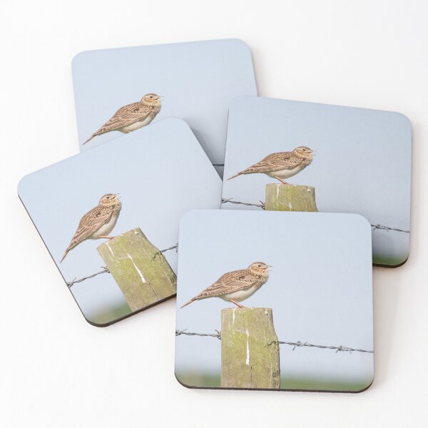 Item preview, Skylark Song! designed and sold by LaurenTucker.