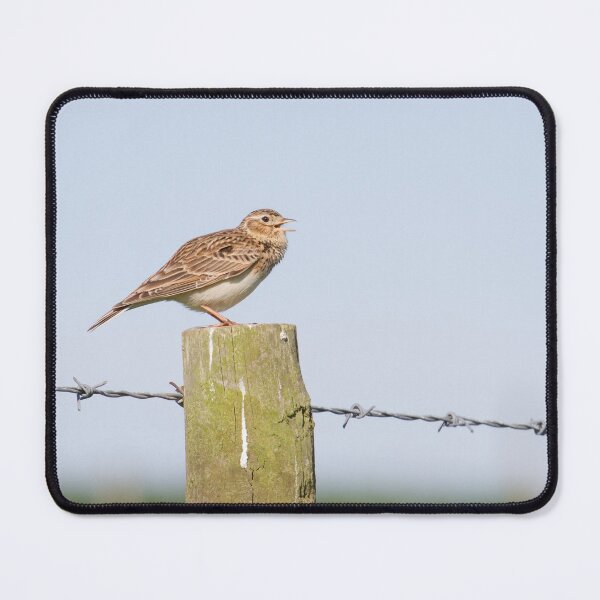 Item preview, Skylark Song! designed and sold by LaurenTucker.