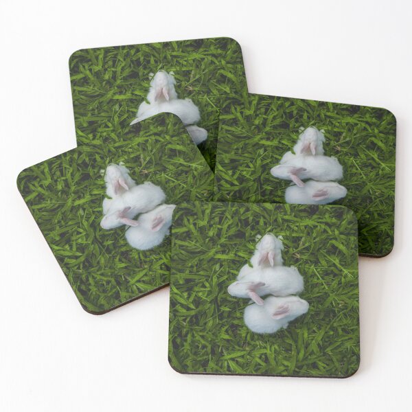 Item preview, rabbit photo with high resolution quality designed and sold by Allyouneed-2.