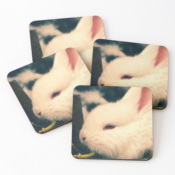 Item preview, rabbit photo with high resolution quality designed and sold by Allyouneed-2.