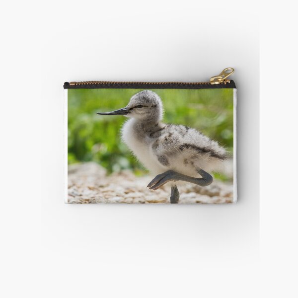 Item preview, Little Avocet Chick.. designed and sold by LaurenTucker.