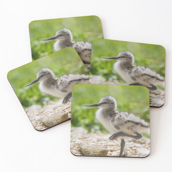 Item preview, Little Avocet Chick.. designed and sold by LaurenTucker.