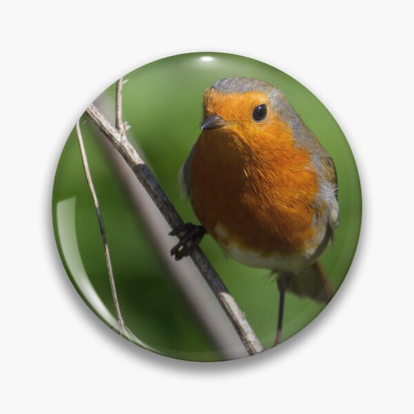 Item preview, Robin Stance.. designed and sold by LaurenTucker.