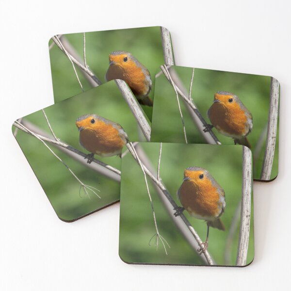 Item preview, Robin Stance.. designed and sold by LaurenTucker.