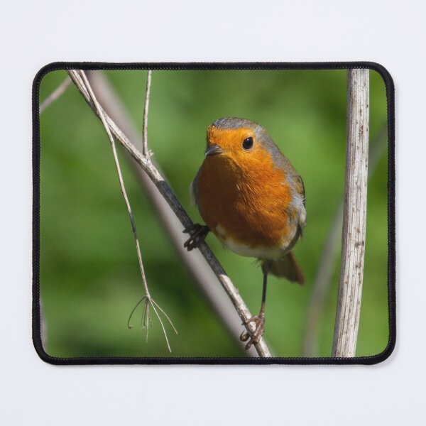 Item preview, Robin Stance.. designed and sold by LaurenTucker.