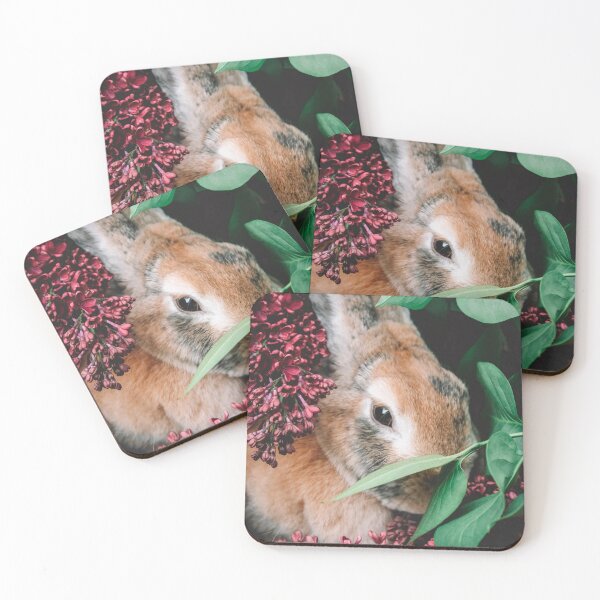 Item preview, rabbit photo with high resolution quality designed and sold by Allyouneed-2.