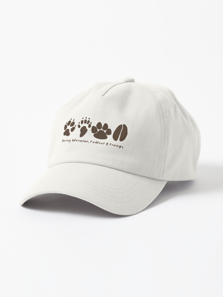 mischief managed Cap