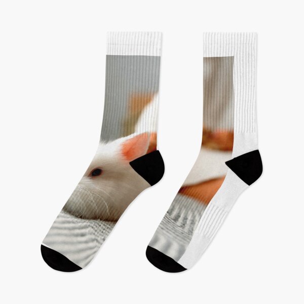 Item preview,  rabbit photo with high resolution quality designed and sold by Allyouneed-2.