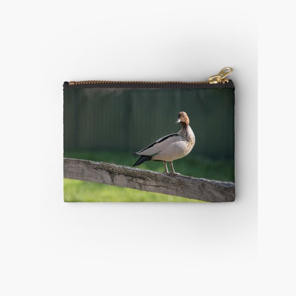 Aperçu de l'œuvre Duck on a Fence créée et vendue par Sandra Chung.
