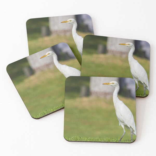 Item preview, Cattle Egret ! designed and sold by LaurenTucker.
