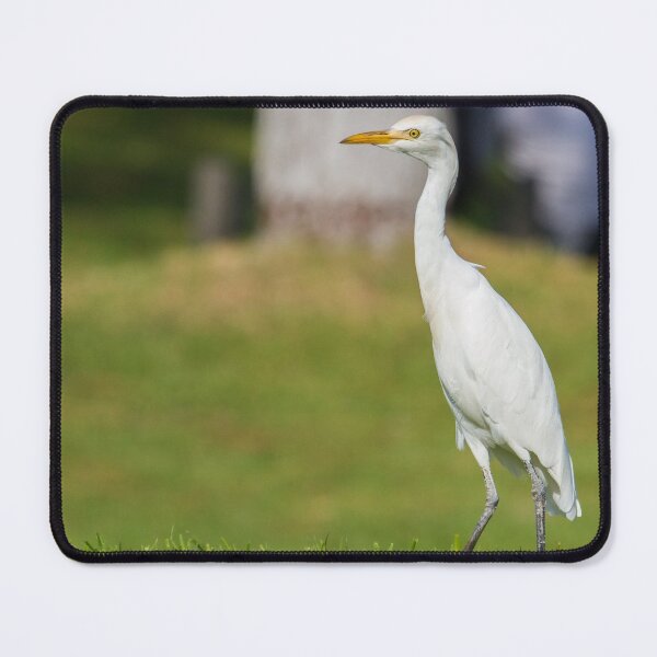 Item preview, Cattle Egret ! designed and sold by LaurenTucker.
