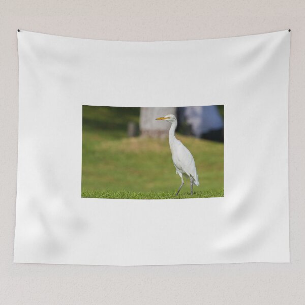 Item preview, Cattle Egret ! designed and sold by LaurenTucker.