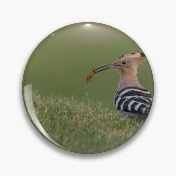 Item preview, Hoopoe! designed and sold by LaurenTucker.