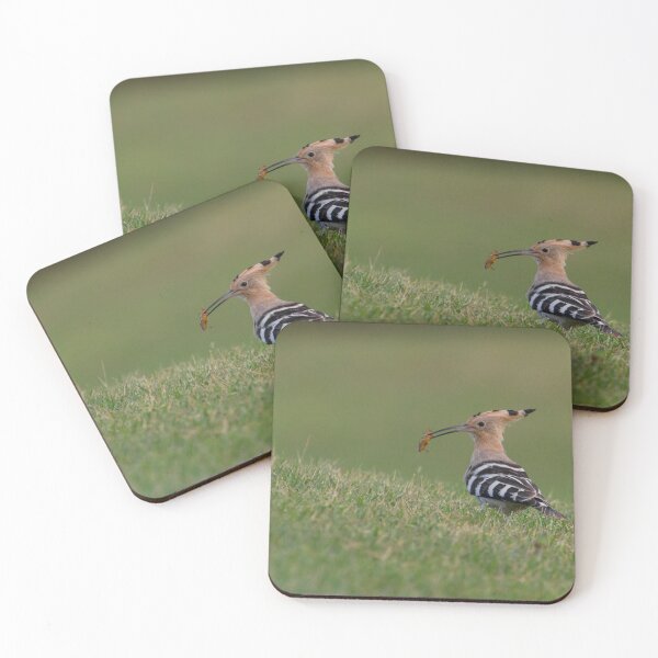 Item preview, Hoopoe! designed and sold by LaurenTucker.