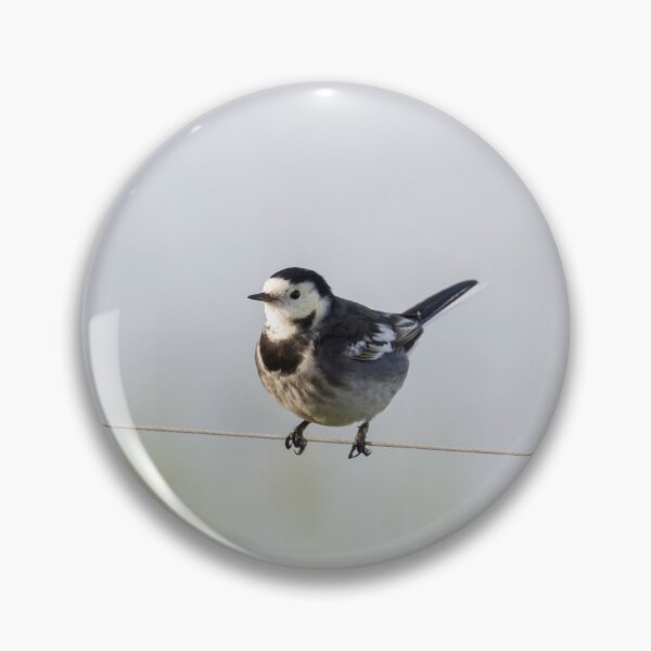 Item preview, Pied Wagtail! designed and sold by LaurenTucker.