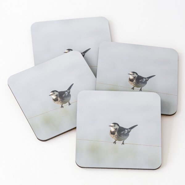 Item preview, Pied Wagtail! designed and sold by LaurenTucker.