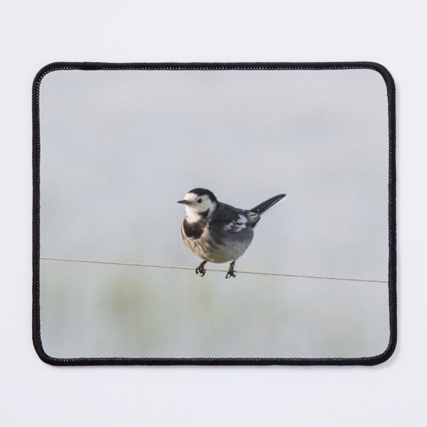 Item preview, Pied Wagtail! designed and sold by LaurenTucker.