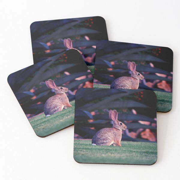 Item preview, rabbit photo with high resolution quality designed and sold by Allyouneed-2.