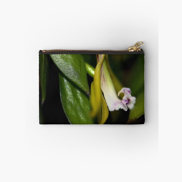 Item preview, Dockrillia pugioniformis designed and sold by andrachne.