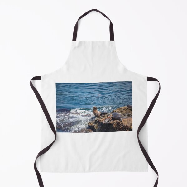 Item preview, Seal Rock at La Jolla in San Diego, California designed and sold by Leslie Banks.