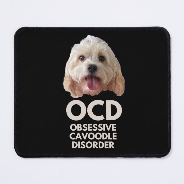 Item preview, OCD. Obsessive Cavoodle Disorder designed and sold by JellyBeenzz.