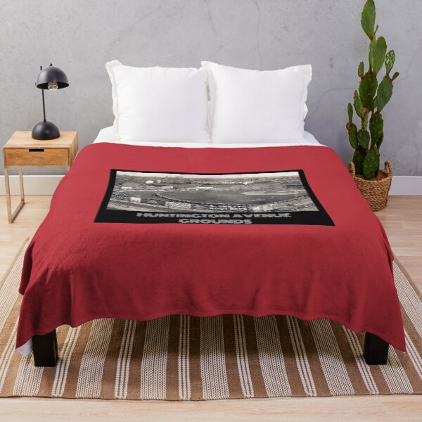 Item preview, Huntington Avenue Grounds- Red designed and sold by DeadStadium.